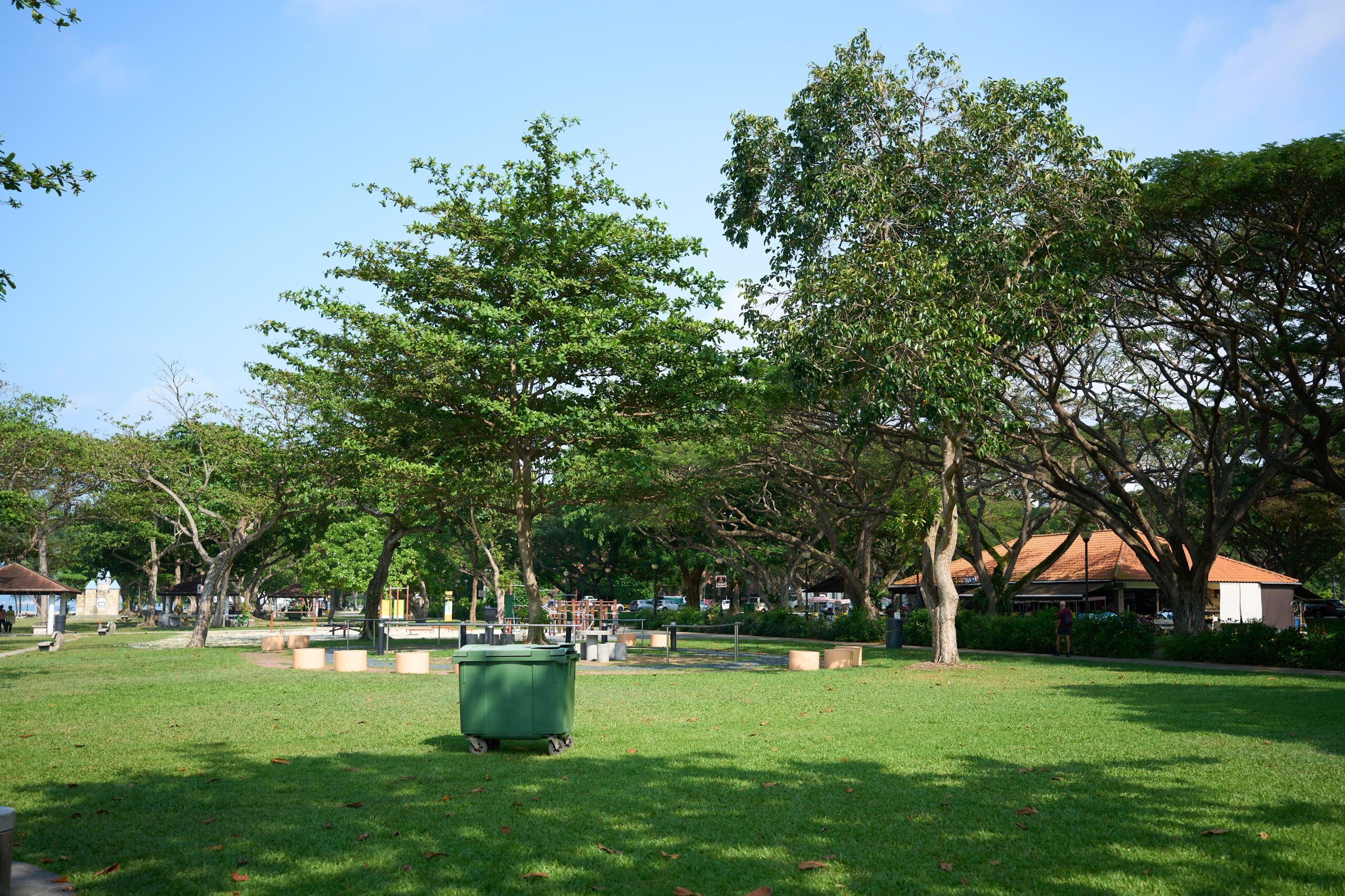 East Coast Park greenery
